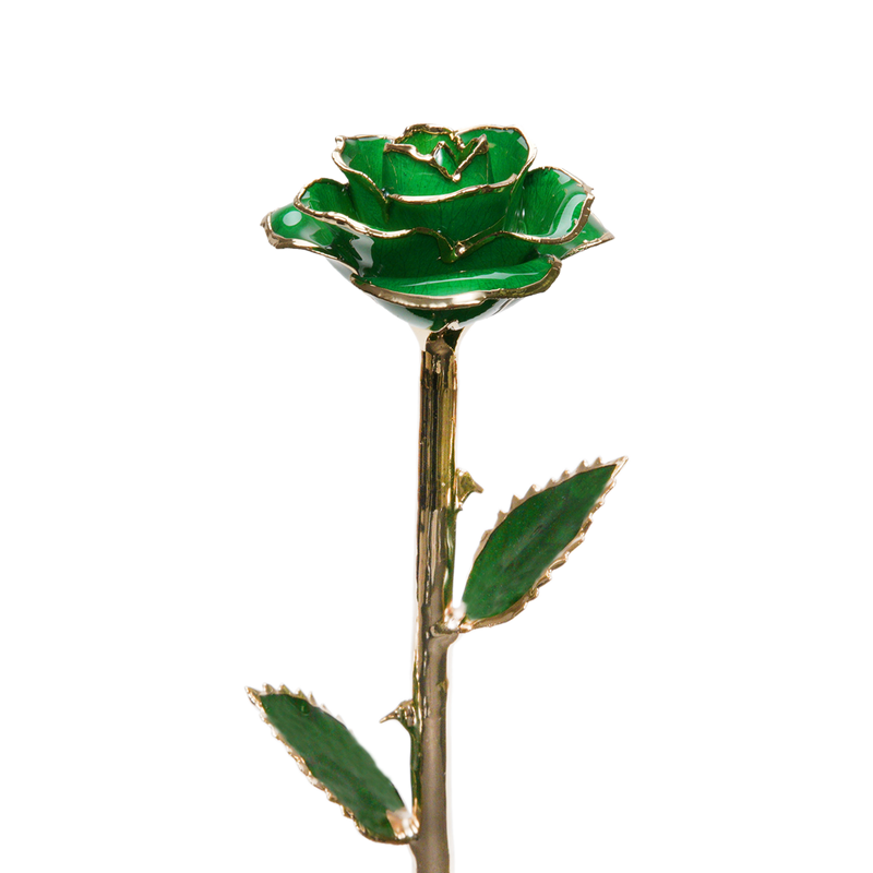 24K Gold Dipped Rose – Emerald Green