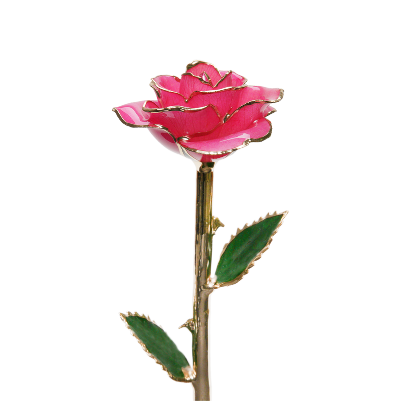 24K Gold Dipped Rose – Pink